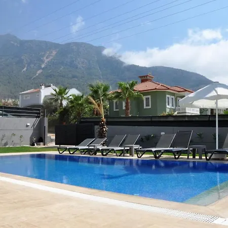Vila Babadag *